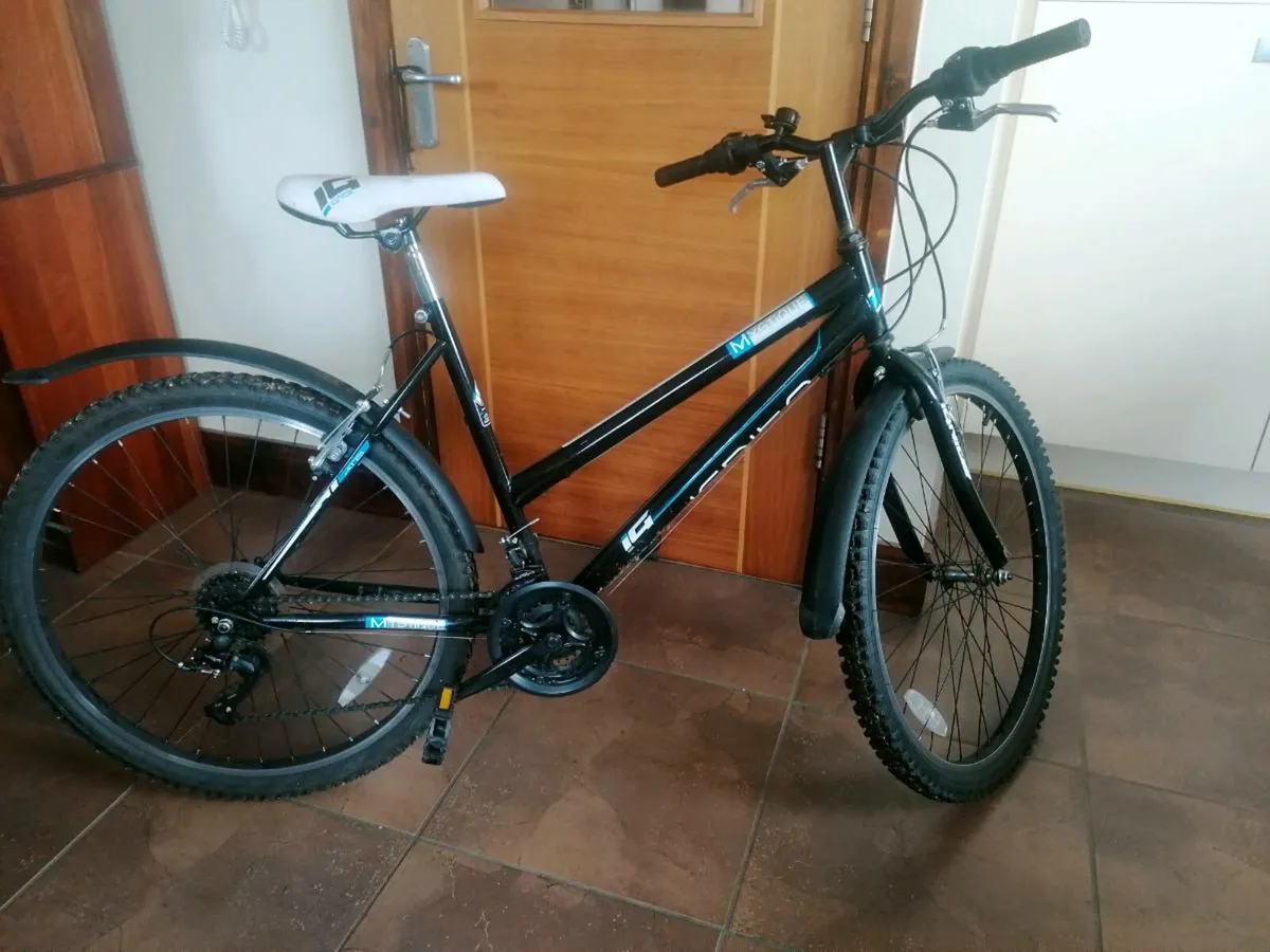 Ladies Bicycle - Image 1