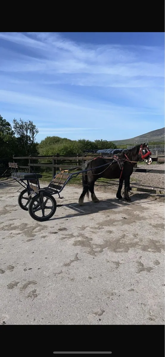 Driving Pony - Image 1