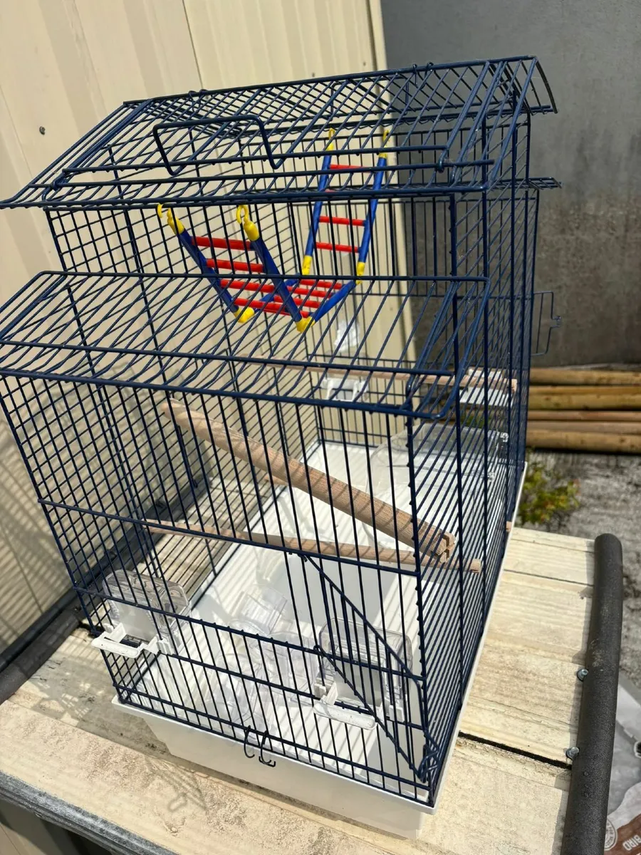 Bird cage - Image 3