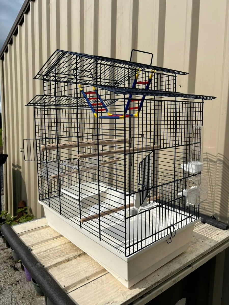 Bird cage - Image 4