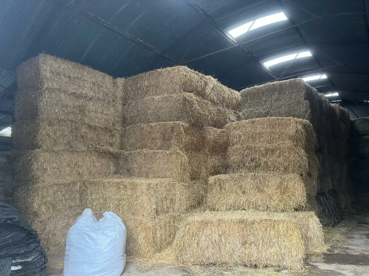 Barley straw - Image 2