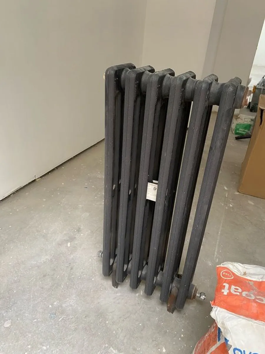 Double cast iron radiator - Image 1