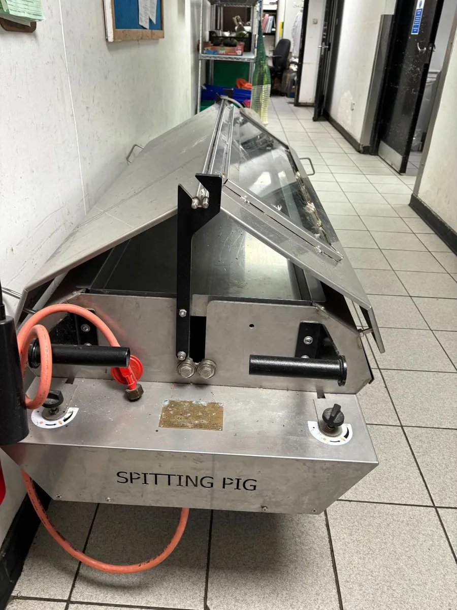 Roaster BBQ - Commercial Unit - Spitting PIG - Image 3