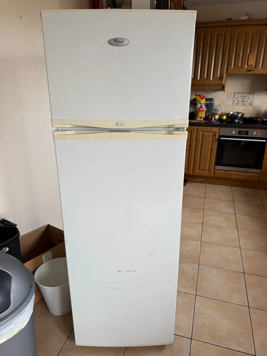 FRIDGE AND FREEZER - Image 3