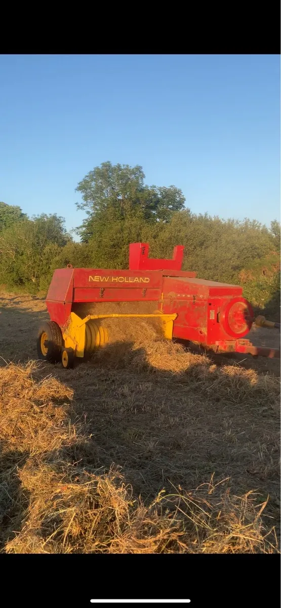 Square bales of hay - Image 1