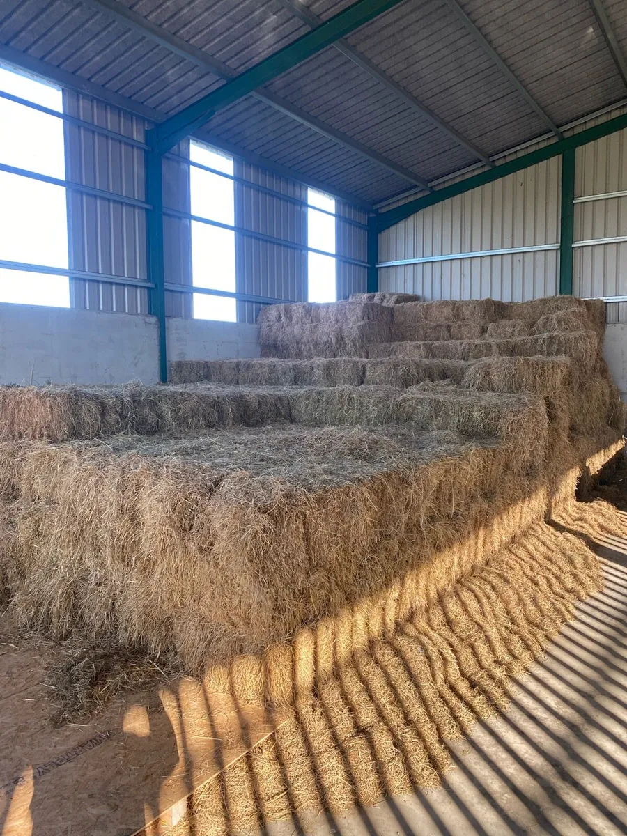 Round Bale Silage & Round Bale Hay - Image 4
