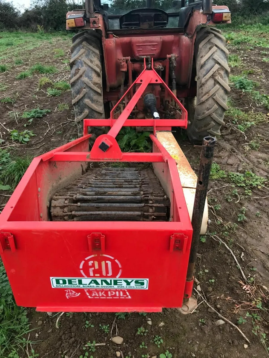 Potato digger - Image 2