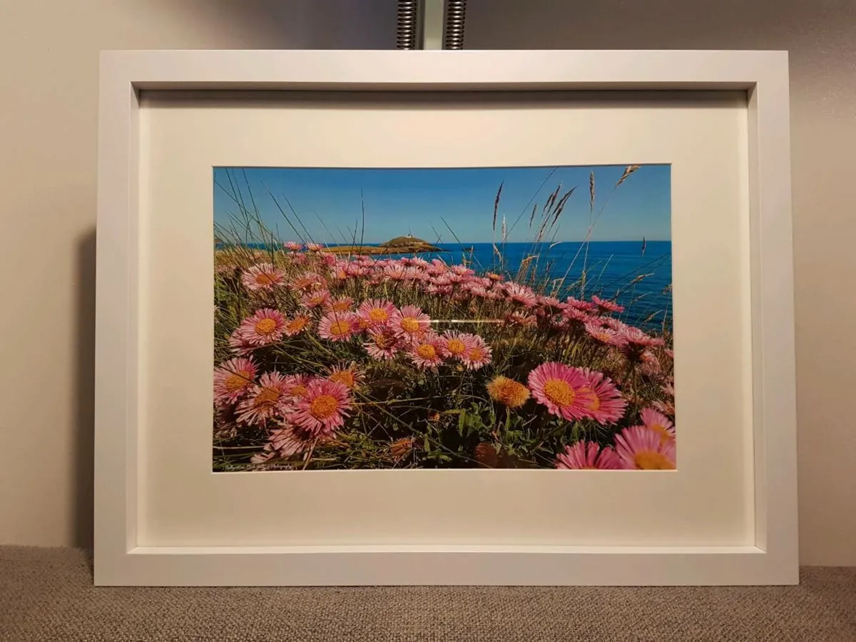Ballycotton - Image 4