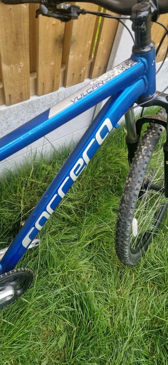 Lightweight carrera ( serviced )( delivery ) - Image 4