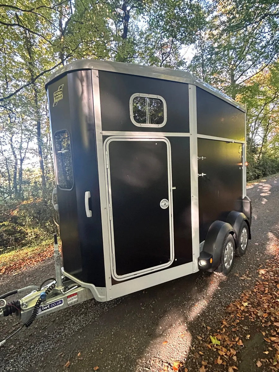 New Ifor Williams HB506 Horsebox - Image 3