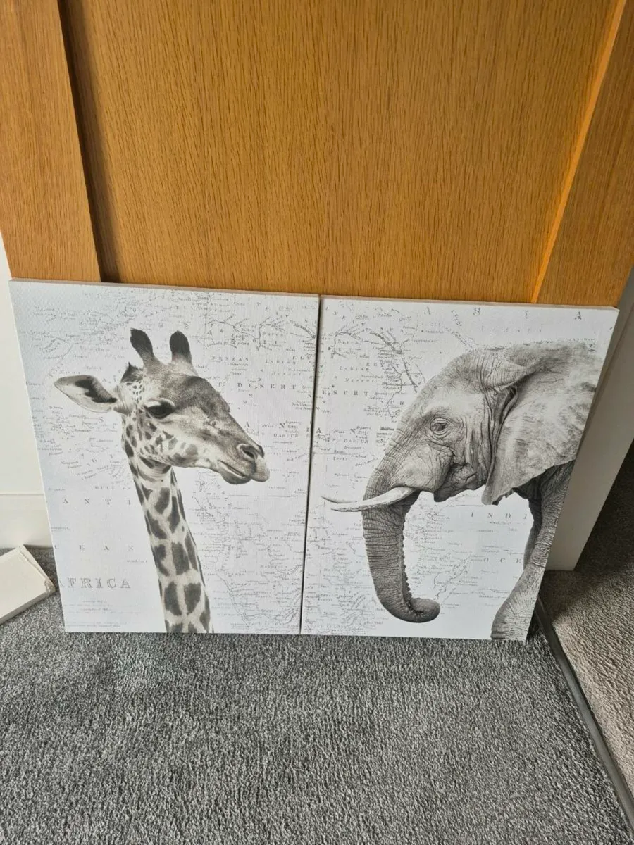 Animal canvas pictures