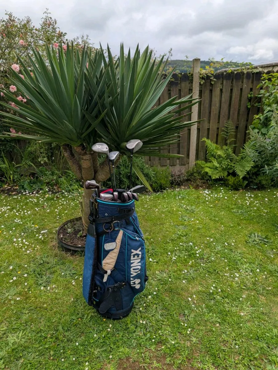 Carbon Golf clubs must go today - Image 1
