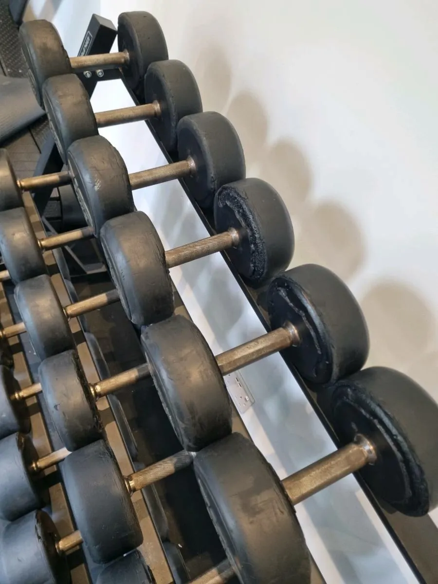 Dumbbells set with rack - Image 4