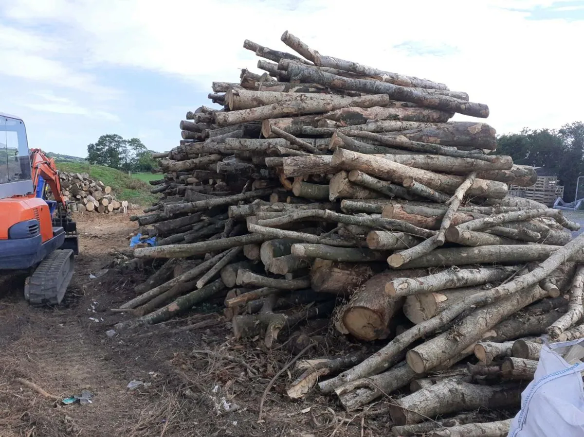Firewood - Image 3