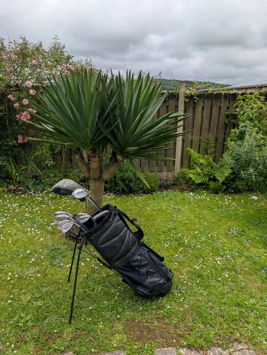 Adult Golf clubs in Nike stand bag must go today - Image 1