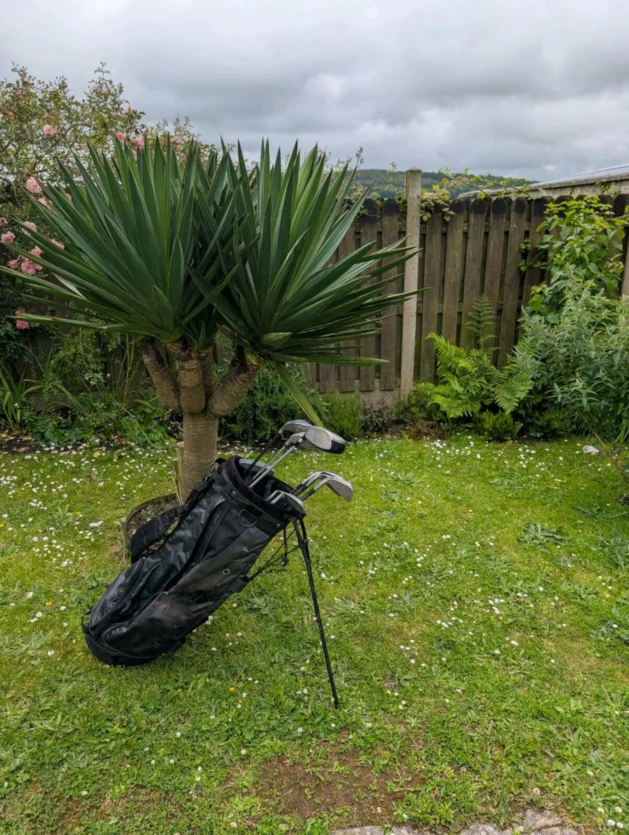 Adult Golf clubs in Nike stand bag must go today - Image 4