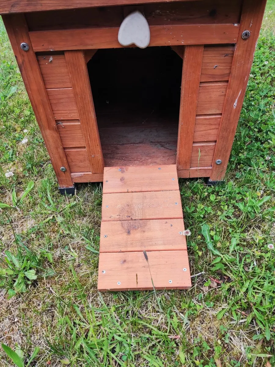 Cat House - Image 2