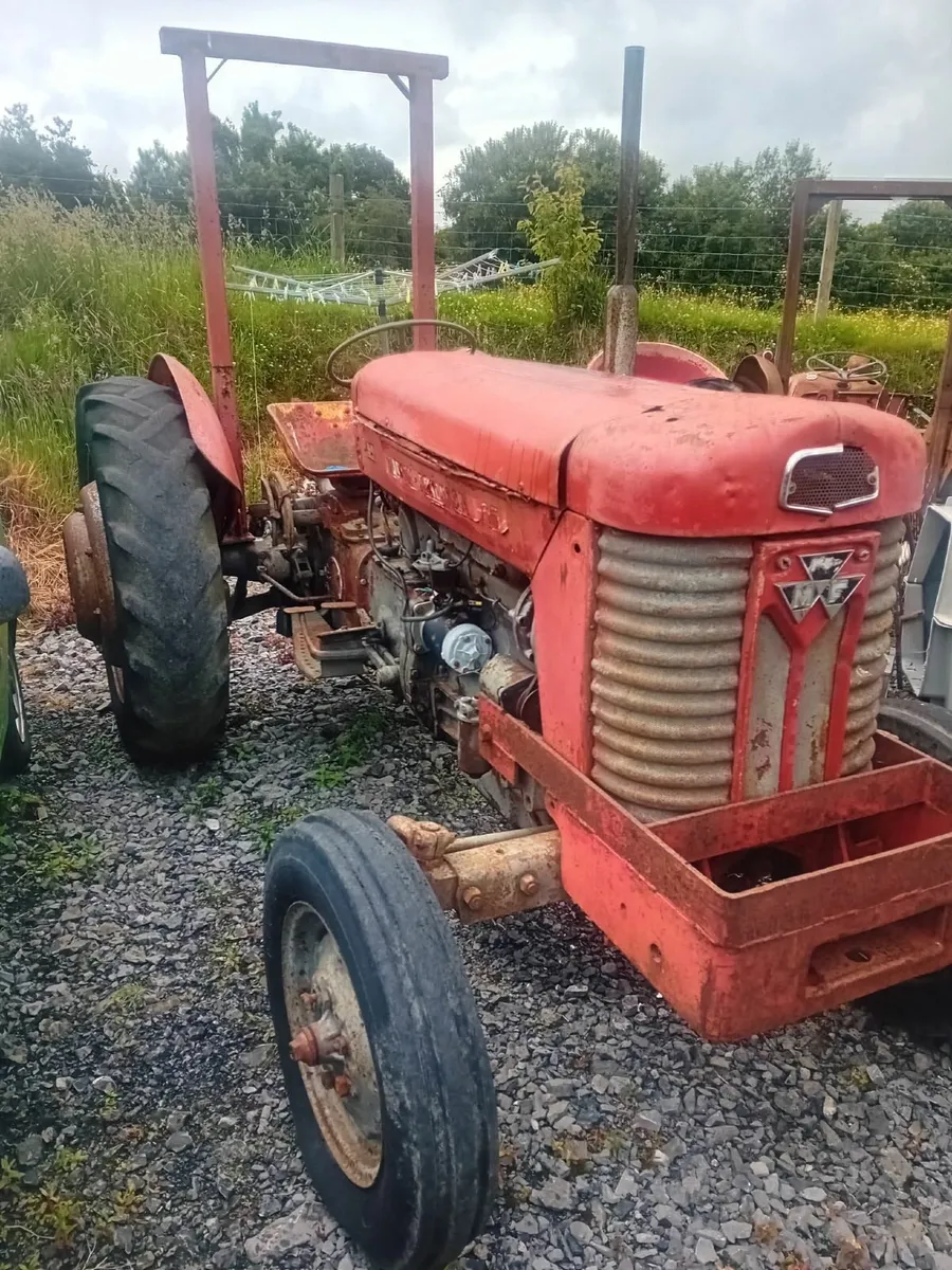 Massey Ferguson 158 & 65MK2 - Image 3