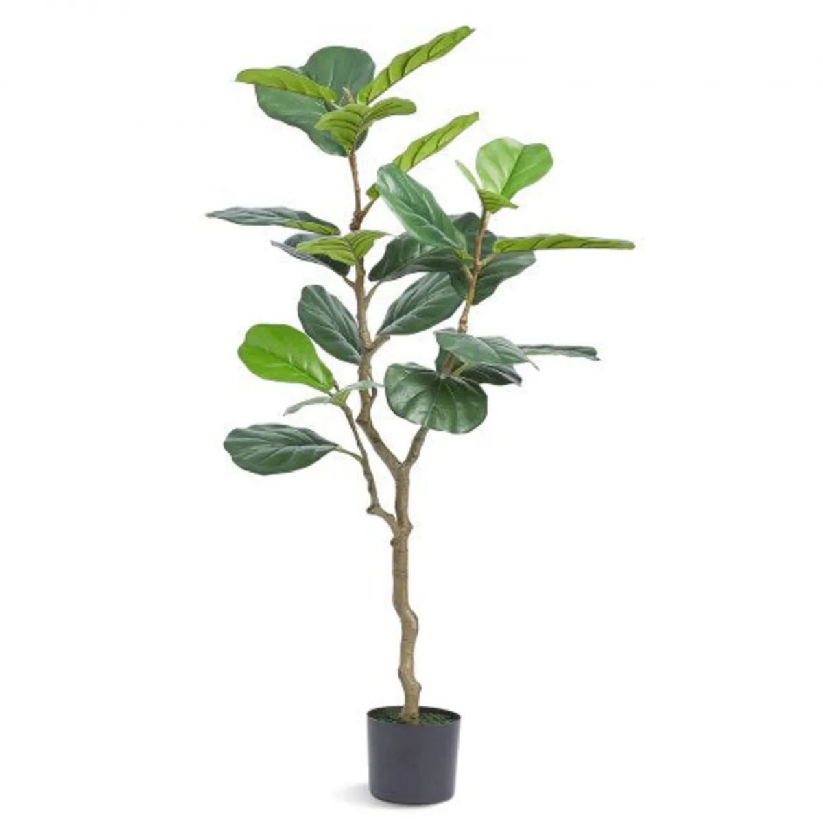 Artificial Fiddle Leaf Fig Tree, 4 FT, Secure PE M