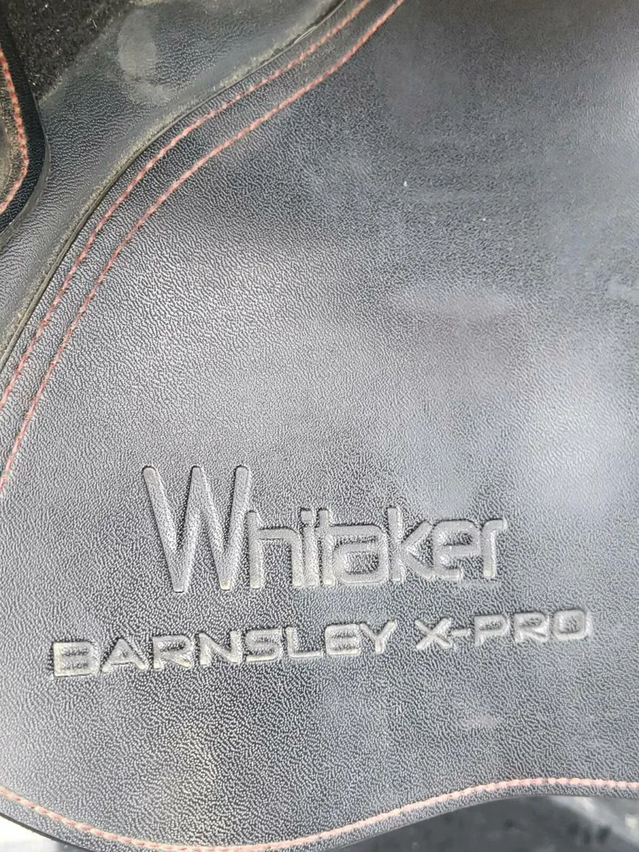 15" Whitaker Barnsley saddle - Image 3