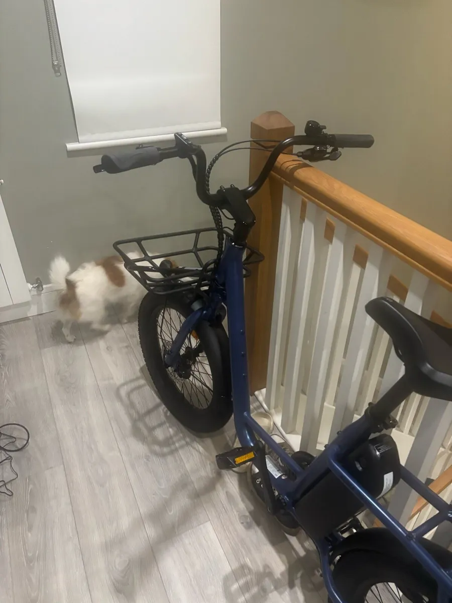 E-bike - SUM cargo bike - Image 2