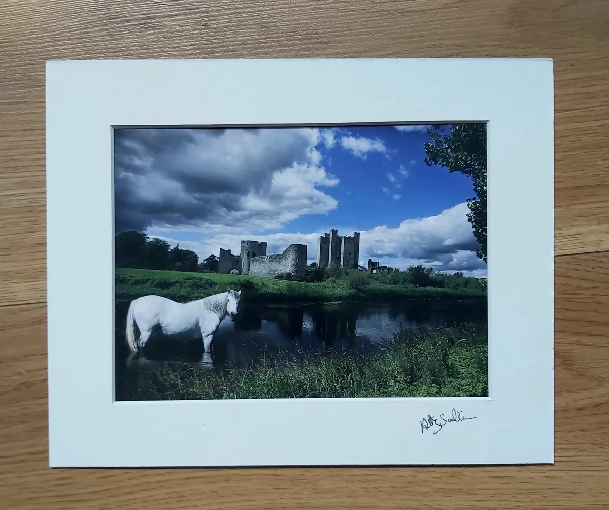 Photos mounted (5) - Image 1