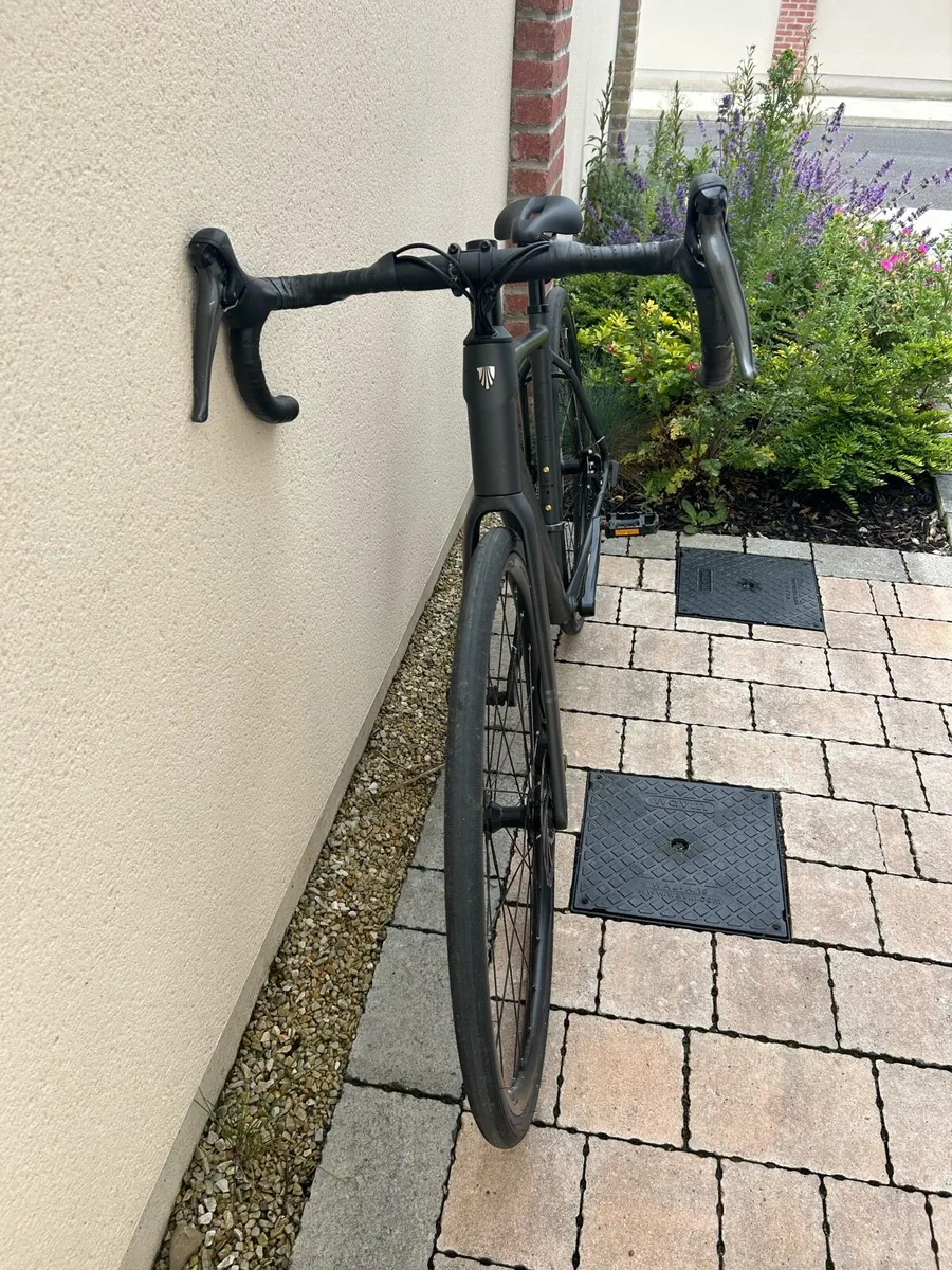 Trek Domane AL 2 Gen 4 - Image 3