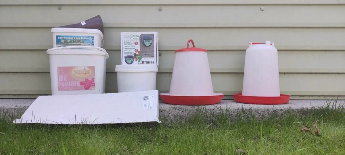 Chicken keeping set up - Image 1