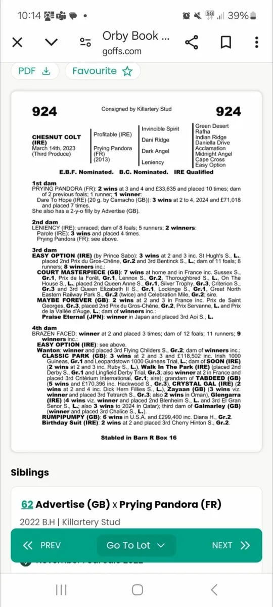 Colt for racing syndicate - Image 3