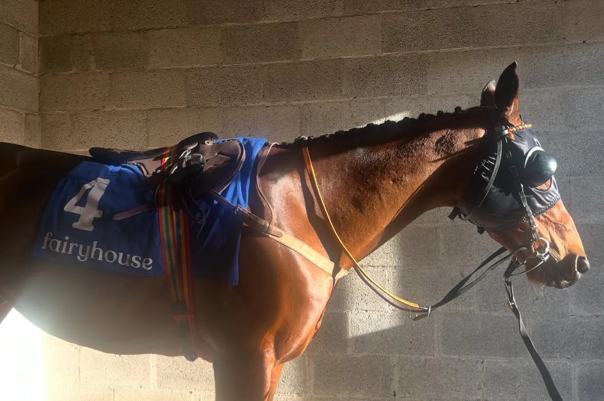 11yo X Racer Coole Arcade - Image 2