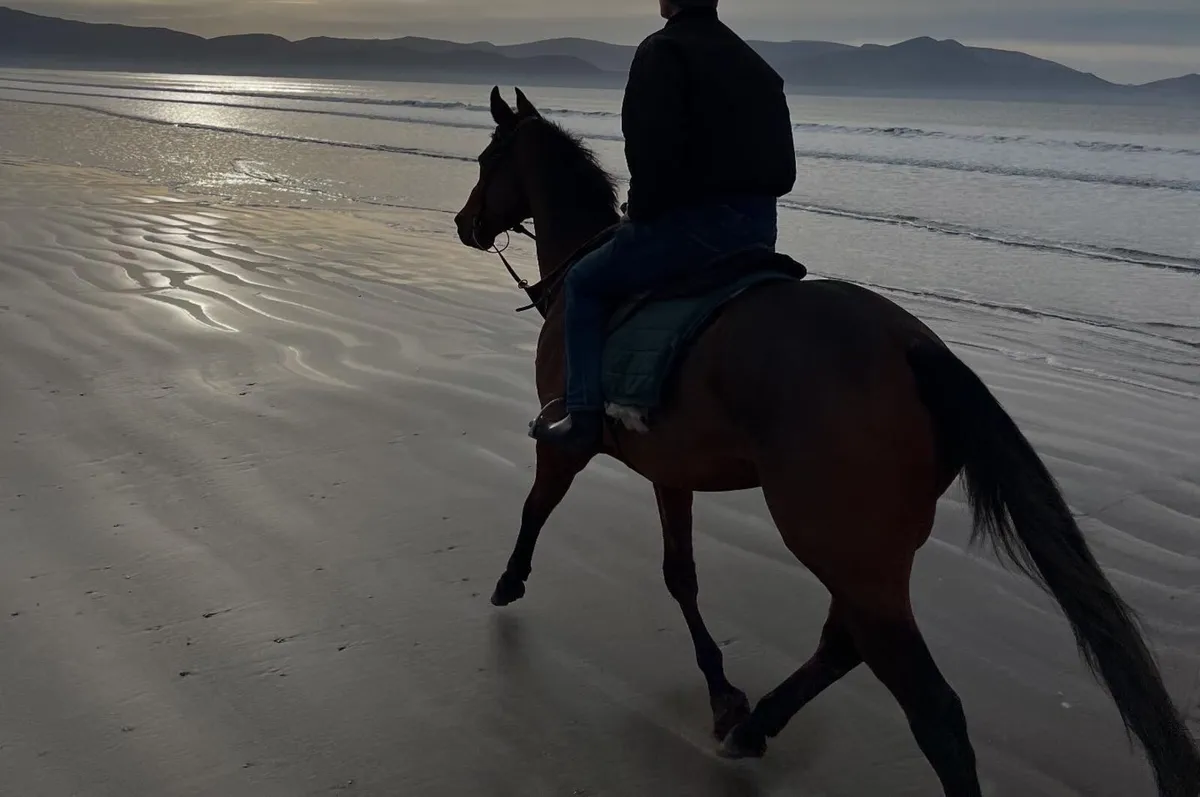 11yo X Racer Coole Arcade - Image 3