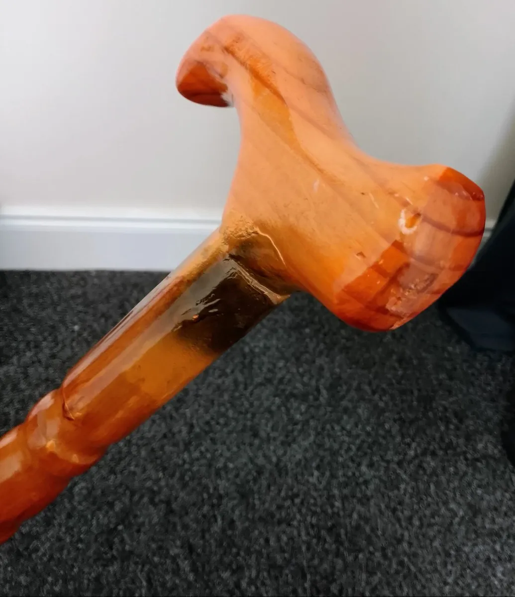 walking stick - Image 2