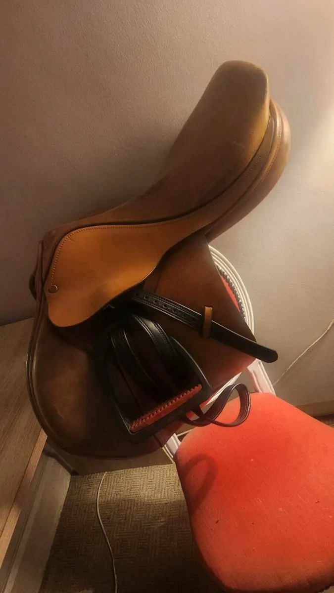 Saddle - Image 1