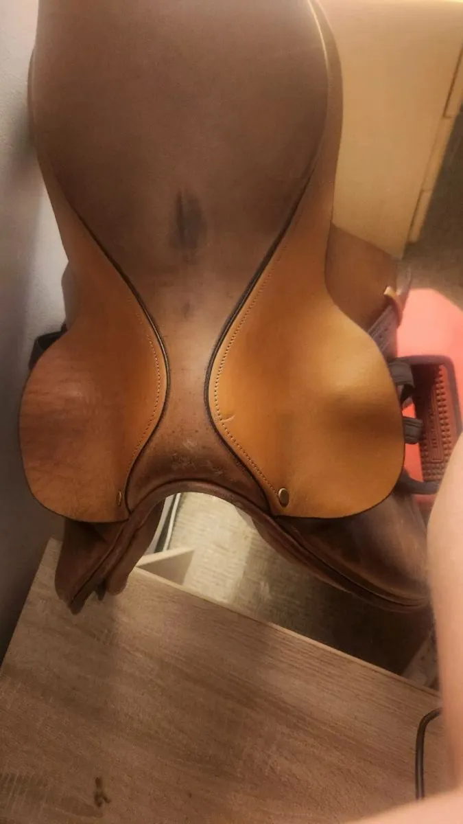 Saddle - Image 2