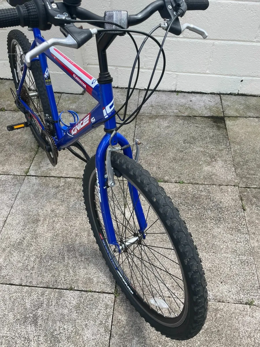 Mountain Bike - Image 2