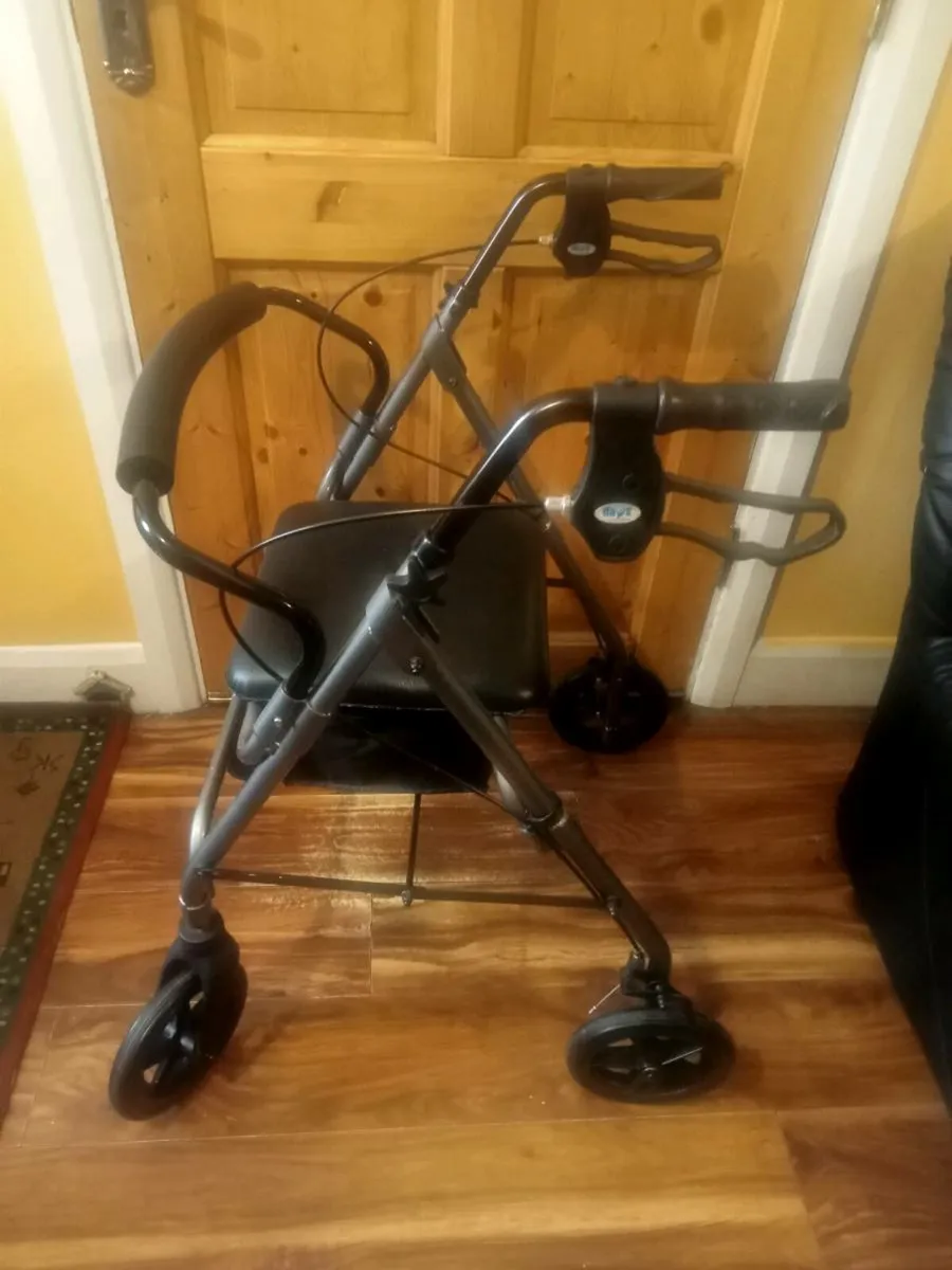 Walking Frame - Image 1