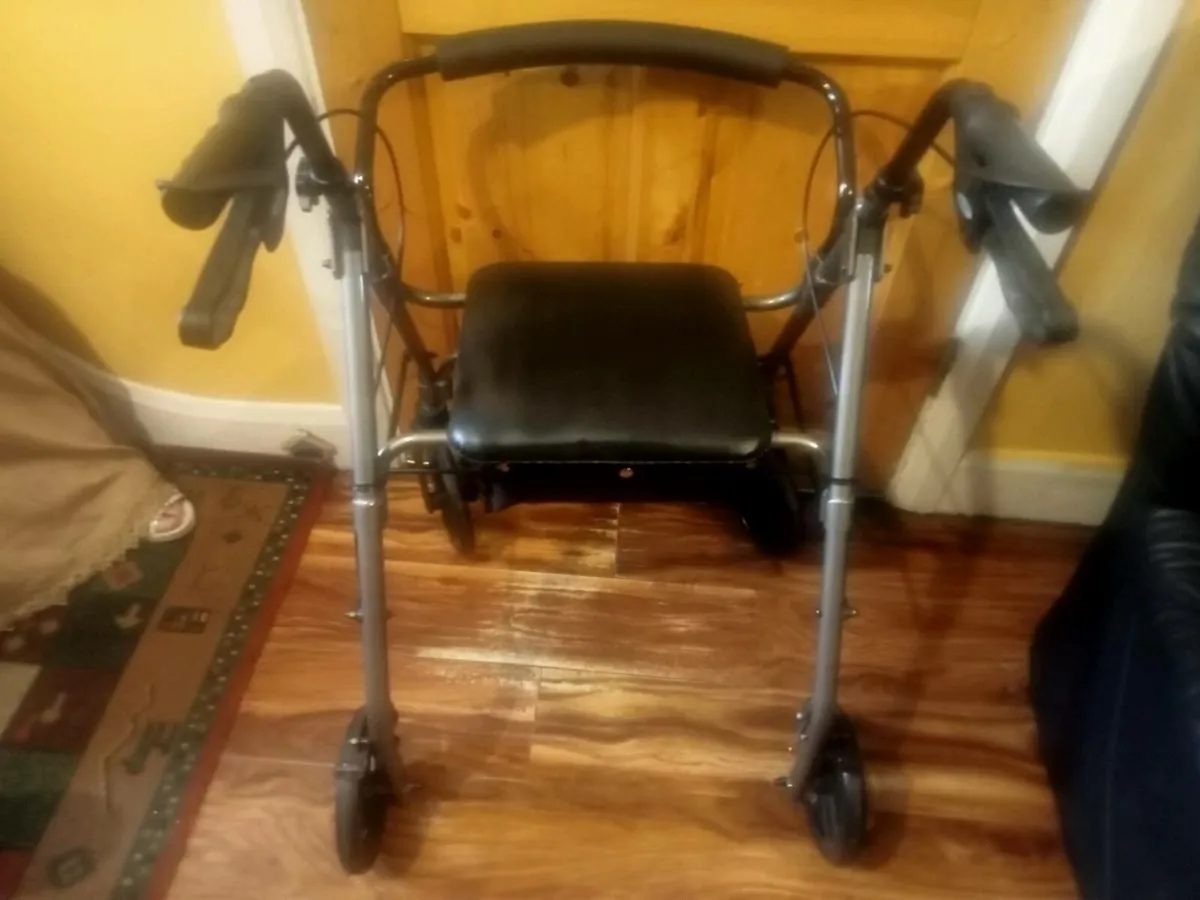 Walking Frame - Image 2