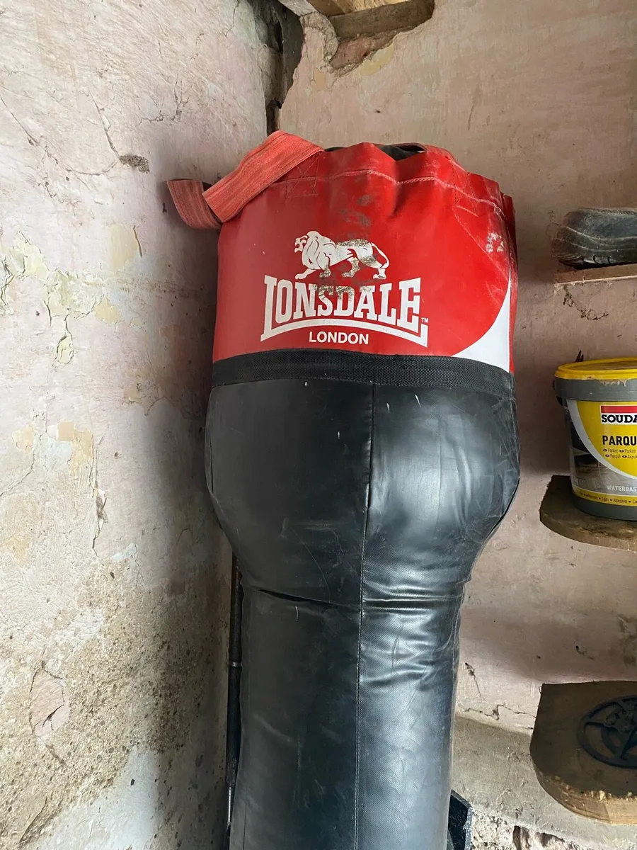 Londsdale Punching Bag