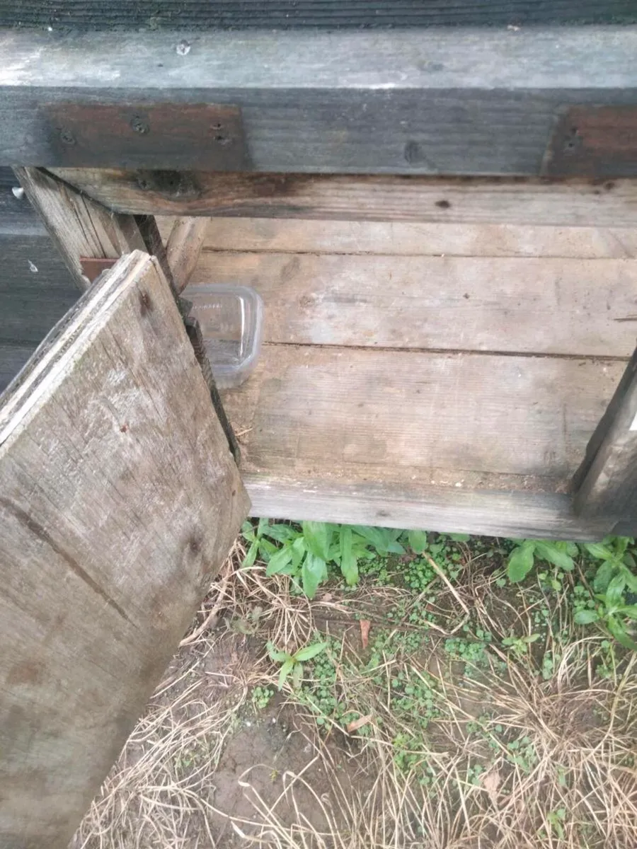 Chicken coop - Image 2