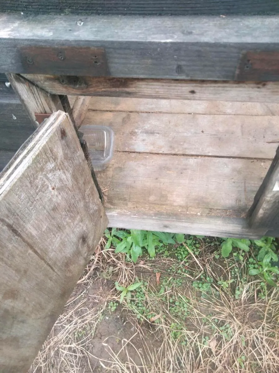 Chicken coop - Image 3