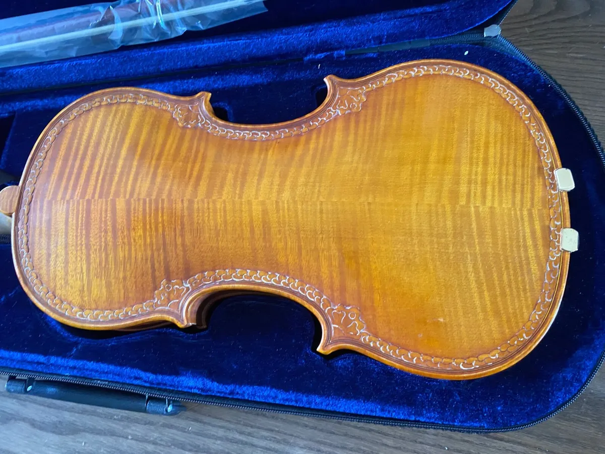 Viola - Image 3