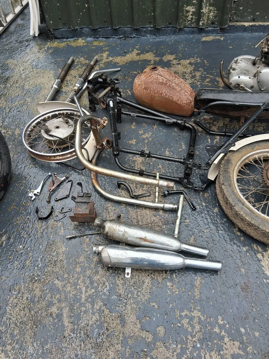 Triumph - Image 1