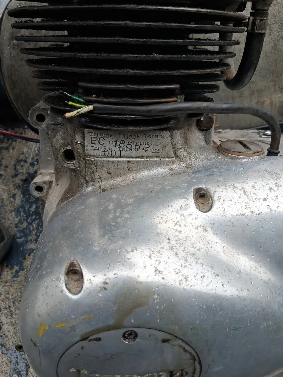 Triumph - Image 3