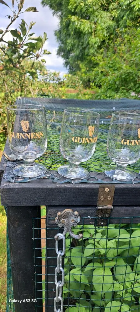 10 old half  pint  Guinness  glass €20 each - Image 2