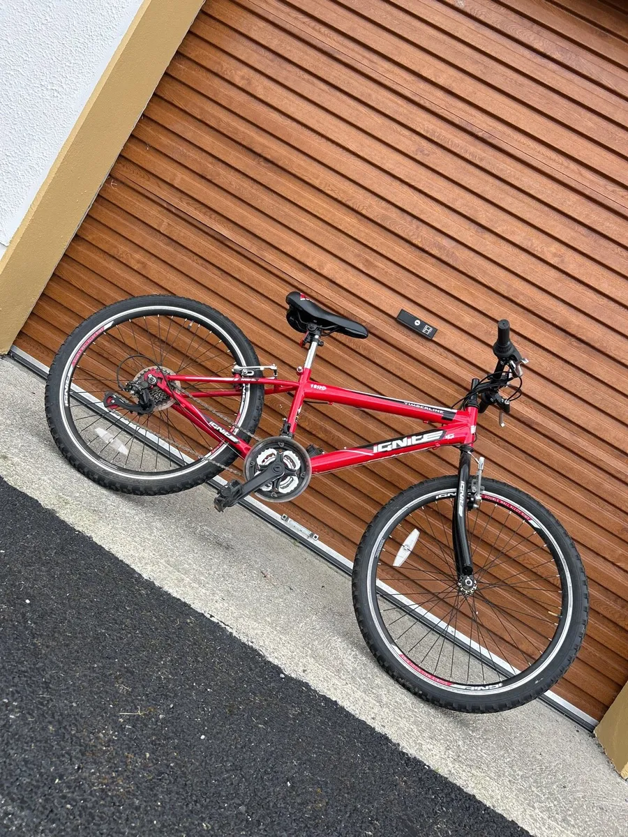 Ignite red bike - Image 1