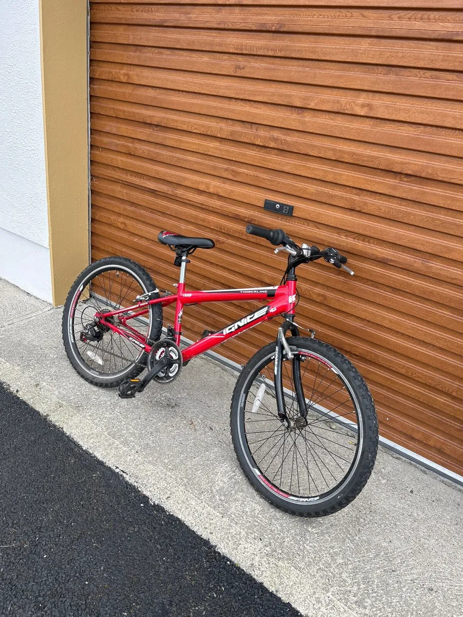 Ignite red bike - Image 3