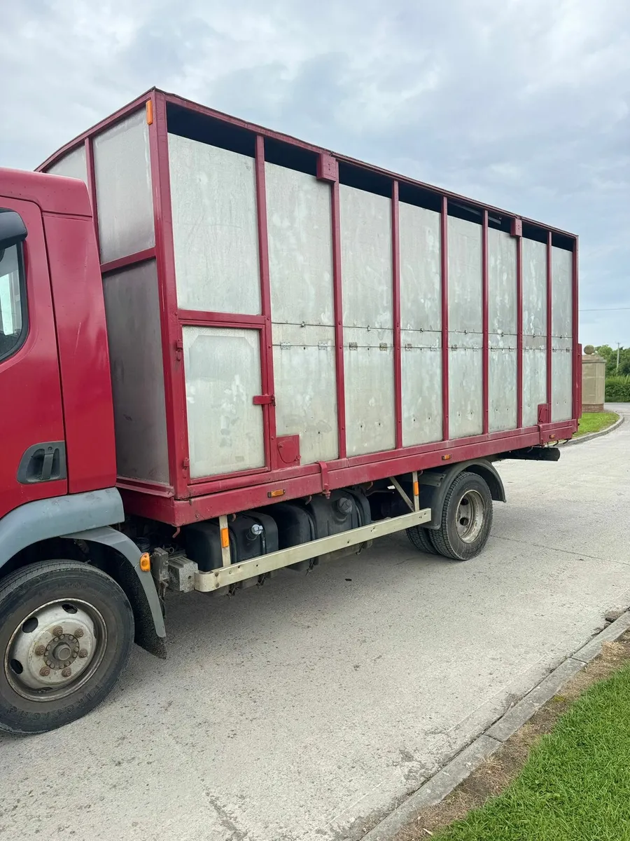Daf cattle lorry - Image 2