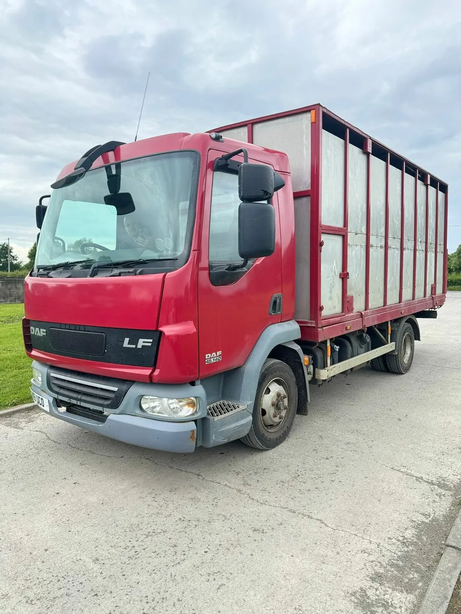 Daf cattle lorry - Image 3