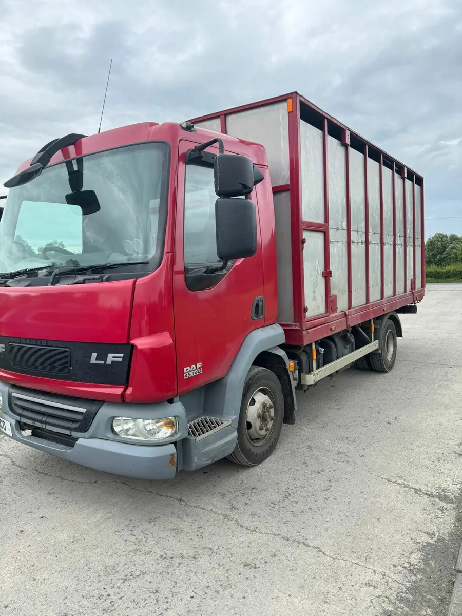 Daf cattle lorry - Image 4