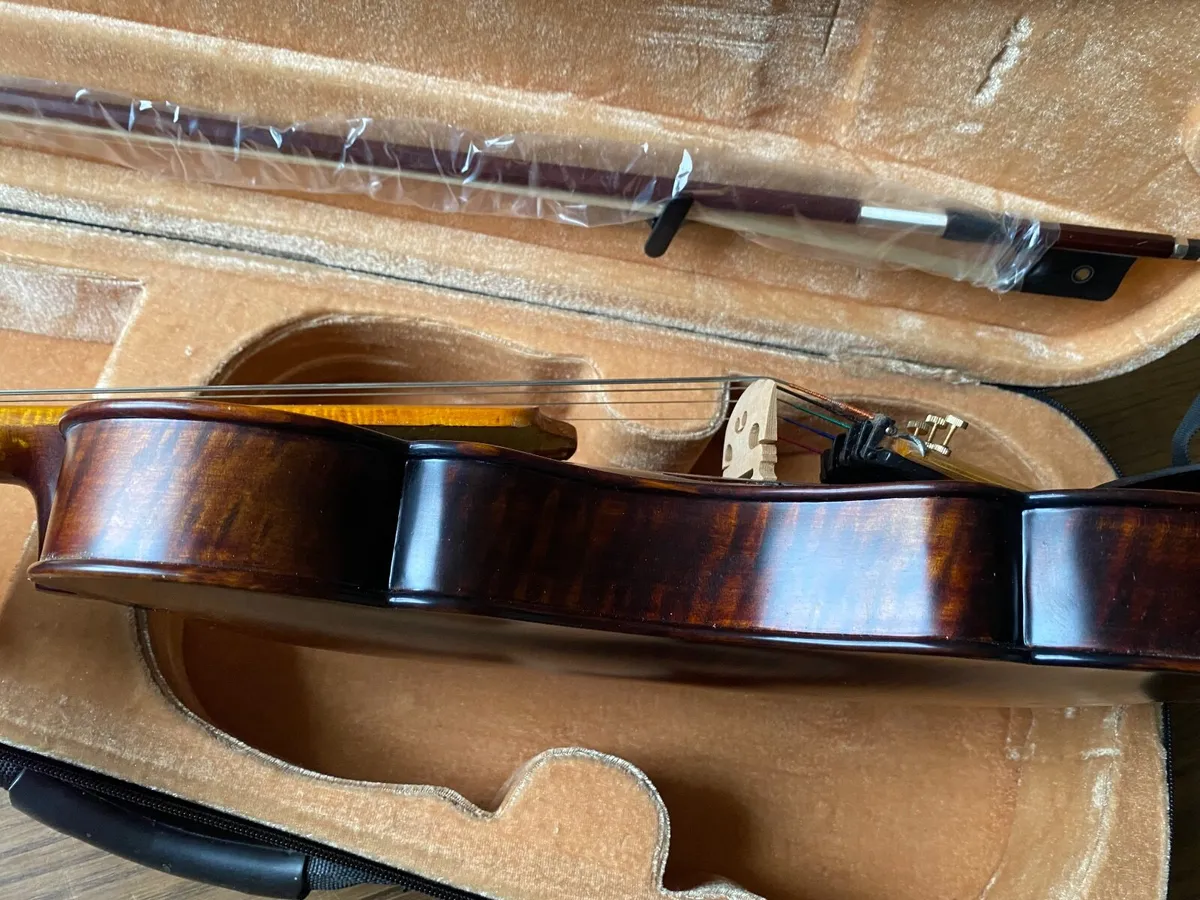 5 strings violin - Image 2